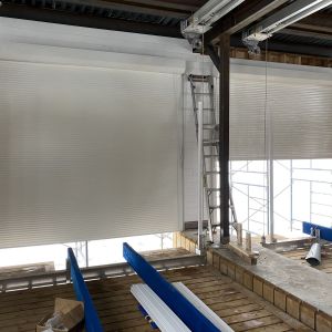 20210224_210445836_iOS